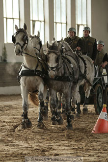 Zimní Jezdecký pohár spřežení 2016 -...