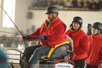 Zimní Jezdecký pohár spřežení 2016 -...