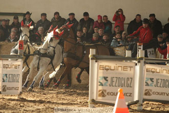 Zimní Jezdecký pohár spřežení 2016 -...