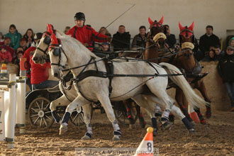 Zimní Jezdecký pohár spřežení 2016 -...