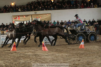 Zimní Jezdecký pohár spřežení 2016 -...