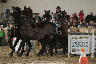 Zimní Jezdecký pohár spřežení 2016 -...