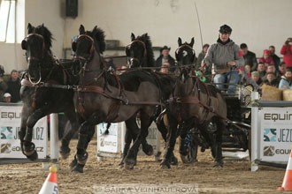 Zimní Jezdecký pohár spřežení 2016 -...