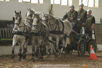 Zimní Jezdecký pohár spřežení 2016 -...