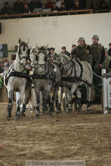 Zimní Jezdecký pohár spřežení 2016 -...