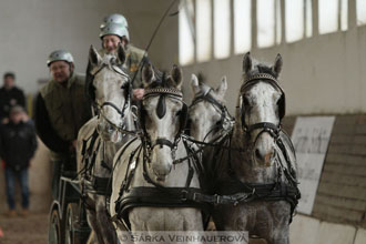 Zimní Jezdecký pohár spřežení 2016 -...