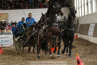 Zimní Jezdecký pohár spřežení 2016 -...