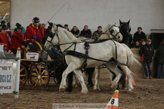 Zimní Jezdecký pohár spřežení 2016 -...