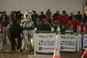 Zimní Jezdecký pohár spřežení 2016 -...
