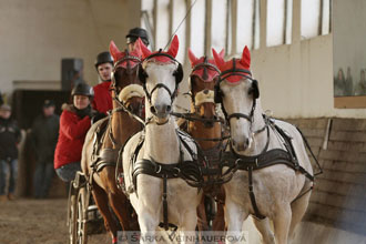 Zimní Jezdecký pohár spřežení 2016 -...