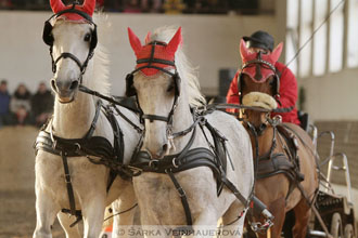 Zimní Jezdecký pohár spřežení 2016 -...