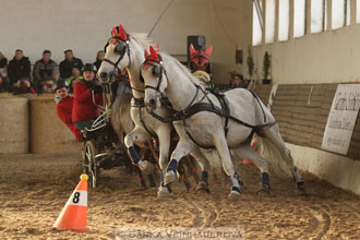 Zimní Jezdecký pohár spřežení 2016 -...