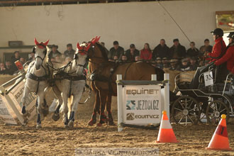 Zimní Jezdecký pohár spřežení 2016 -...