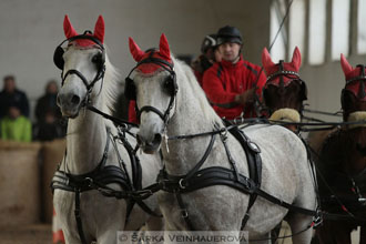 Zimní Jezdecký pohár spřežení 2016 -...
