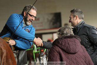 Zimní Jezdecký pohár spřežení 2016 -...