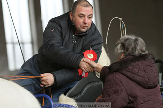 Zimní Jezdecký pohár spřežení 2016 -...
