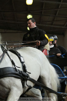 Zimní Jezdecký pohár spřežení 2016 -...