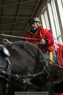 Zimní Jezdecký pohár spřežení 2016 -...