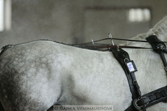 Zimní Jezdecký pohár spřežení 2016 -...