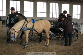 Zimní Jezdecký pohár spřežení 2016 -...