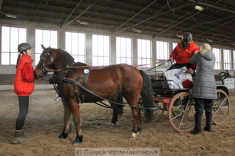 Zimní Jezdecký pohár spřežení 2016 -...