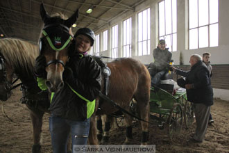 Zimní Jezdecký pohár spřežení 2016 -...