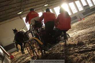 Zimní Jezdecký pohár spřežení 2016 -...