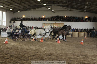 Zimní Jezdecký pohár spřežení 2016 -...